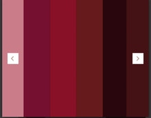 Load image into Gallery viewer, Lip Kit