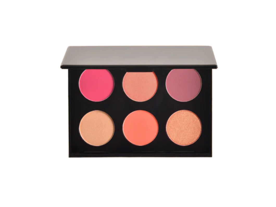 Blushing Palette ( on sale )